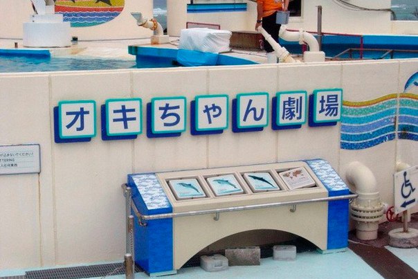 Okinawa Churaumi Aquarium. Okinawa Churaumi Aquarium 7