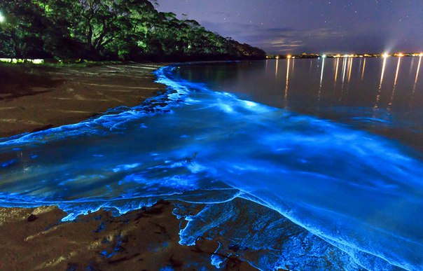 Удивительные заливы с невероятной подсветкой воды. Удивительные заливы с 2