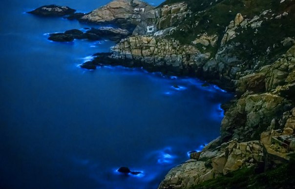 Удивительные заливы с невероятной подсветкой воды. Удивительные заливы с 3