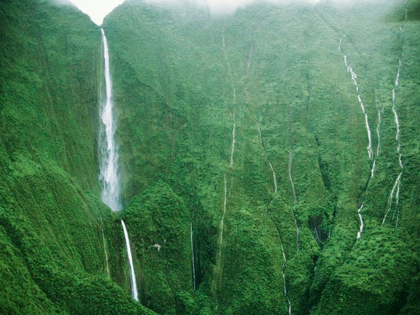 Водопад Хонокохау — доисторические пейзажи эпохи динозавров. Водопад Хонокохау — 5