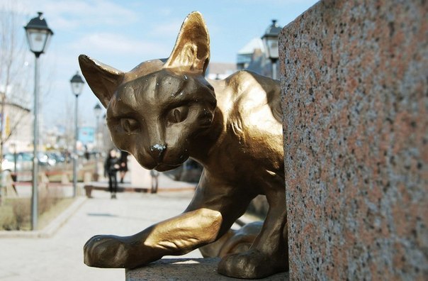Сквер Сибирских кошек: память о великом подвиге маленьких животных. Сквер Сибирских кошек: память 1 Сквер Сибирских кошек: память о великом подвиге маленьких животных. Сквер Сибирских кошек: память 1
