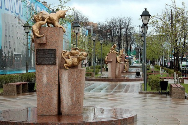 Сквер Сибирских кошек: память о великом подвиге маленьких животных. Сквер Сибирских кошек: память 3 Сквер Сибирских кошек: память о великом подвиге маленьких животных. Сквер Сибирских кошек: память 3