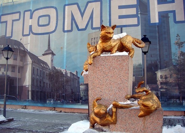 Сквер Сибирских кошек: память о великом подвиге маленьких животных. Сквер Сибирских кошек: память 4 Сквер Сибирских кошек: память о великом подвиге маленьких животных. Сквер Сибирских кошек: память 4