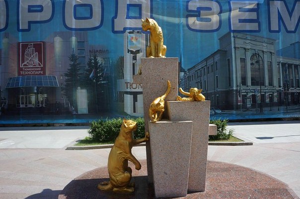 Сквер Сибирских кошек: память о великом подвиге маленьких животных. Сквер Сибирских кошек: память 6 Сквер Сибирских кошек: память о великом подвиге маленьких животных. Сквер Сибирских кошек: память 6