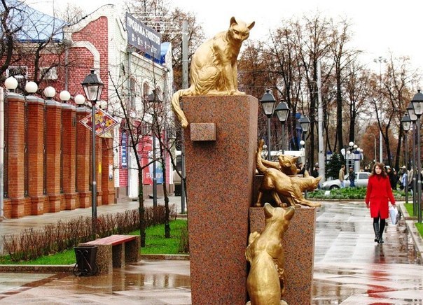 Сквер Сибирских кошек: память о великом подвиге маленьких животных. Сквер Сибирских кошек: память 8 Сквер Сибирских кошек: память о великом подвиге маленьких животных. Сквер Сибирских кошек: память 8