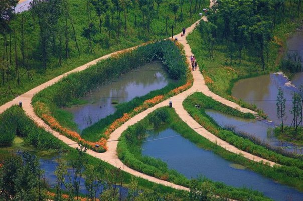 Живописный парк Янвэйчжоу в Китае. Живописный парк Янвэйчжоу в 8